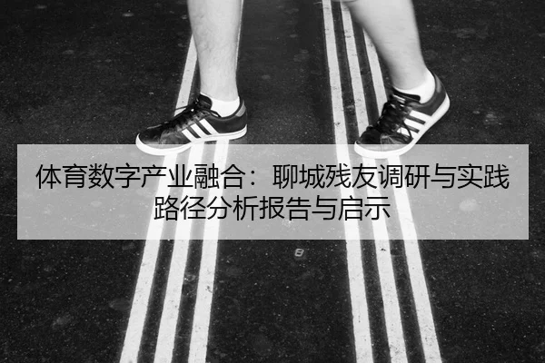 体育数字产业融合：聊城残友调研与实践路径分析报告与启示